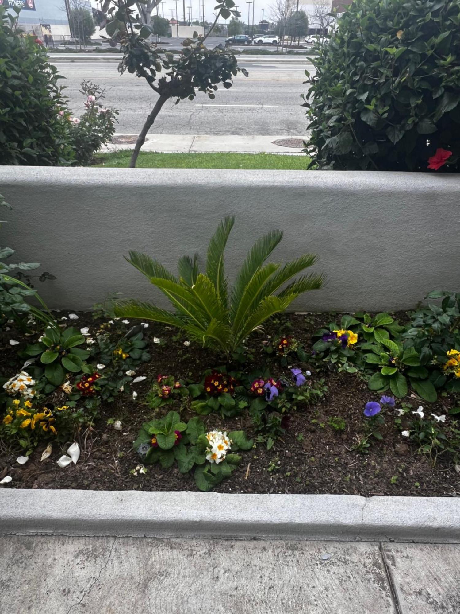 El Segundo Inn Hawthorne Zewnętrze zdjęcie